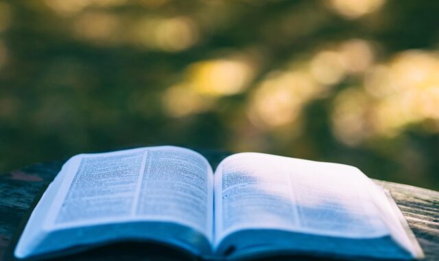 book, pages, open book, read, reading, knowledge, education, leisure, hobby, bookworm, chapters, literature, open, outdoors, research, study, book, book, book, book, book, open book, education, study