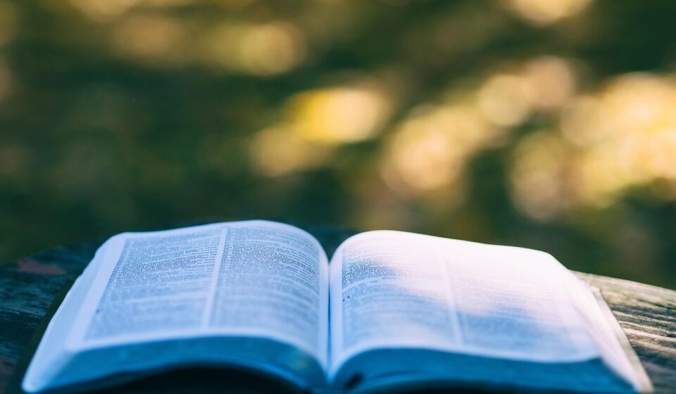 book, pages, open book, read, reading, knowledge, education, leisure, hobby, bookworm, chapters, literature, open, outdoors, research, study, book, book, book, book, book, open book, education, study