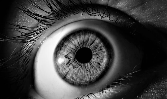 eye, iris, pupil, vision, eyeball, eyelashes, view, see, black, white, eye, eye, eye, eye, eye