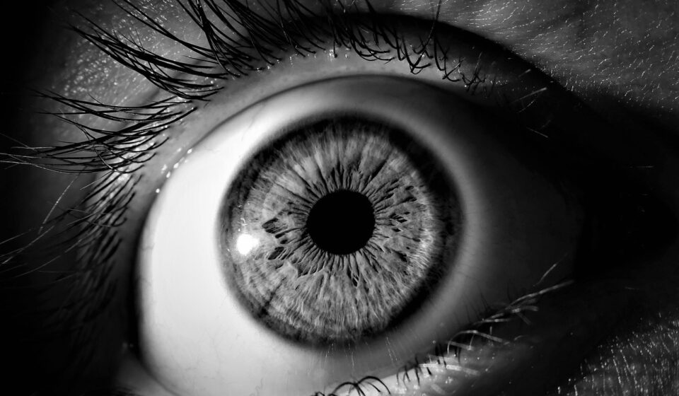eye, iris, pupil, vision, eyeball, eyelashes, view, see, black, white, eye, eye, eye, eye, eye
