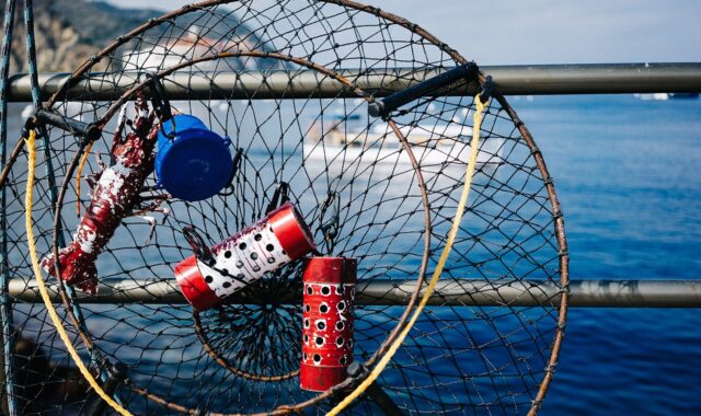 fishing, net, catch, sea, nature, ocean, equipment, fishnet, water, gear, material, marine, netting, boat