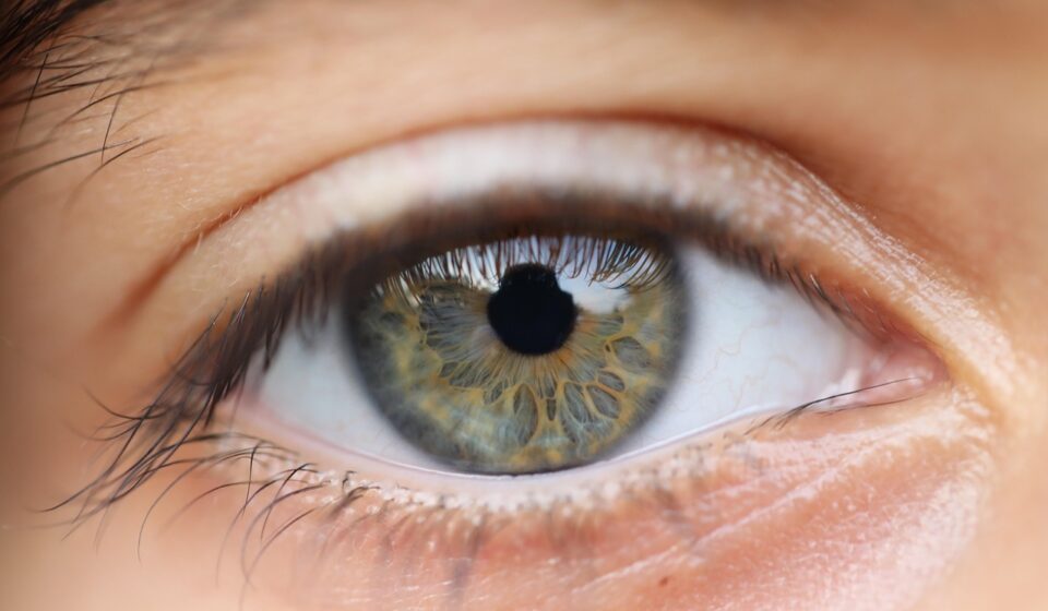 eye, vision, sight, macrography, portrait, girl