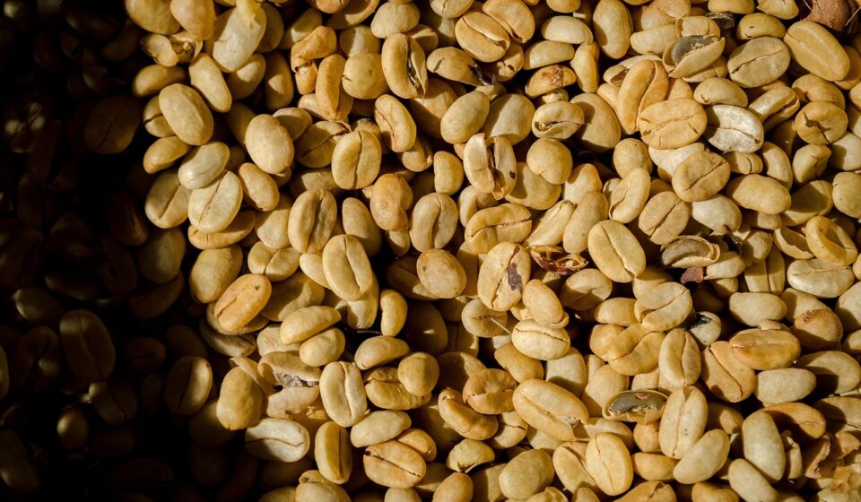 coffee, nature, texture, food, organic, coffee beans, aroma, colombia, yellow, coffee, coffee, coffee, coffee, texture, food, coffee beans, coffee beans, coffee beans, coffee beans, coffee beans, colombia