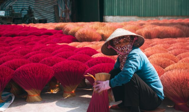 woman, job, traditional, vietnam, hanoi, asia, life, culture, work, red, coral, woman, job, job, job, job, job, vietnam, vietnam, vietnam, vietnam, hanoi, hanoi, hanoi, life, life