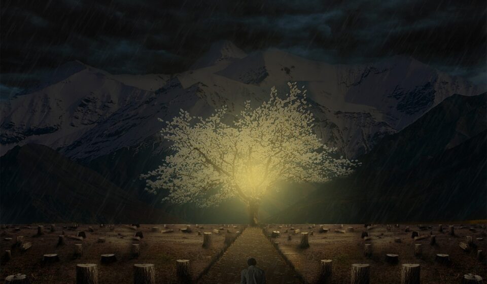 mountain, landscape, nature, sunset, tree, scenic, outdoors, fantasy, handling, hope, photoshop