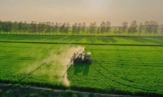 rice, field, tractor, machinery, agriculture, agricultural machinery, tractor, agricultural machinery, agricultural machinery, agricultural machinery, agricultural machinery, agricultural machinery, China, Jiangsu, Yancheng