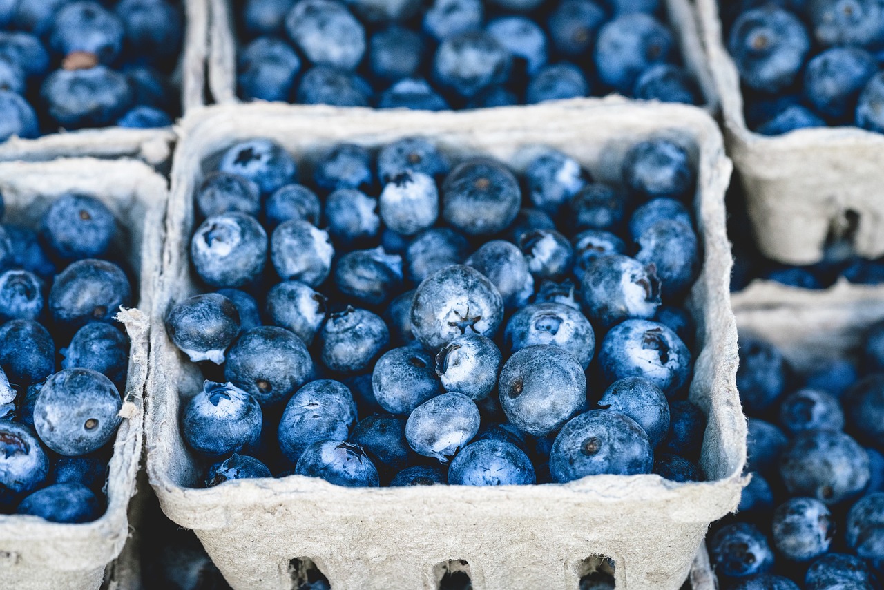 blueberries, bunch, berries, fruits, bunch of berries, fresh berries, fresh blueberries, ripe, ripe blueberries, fruit stand, harvest, produce, organic, fresh produce, blueberries, blueberries, blueberries, blueberries, blueberries, berries, fruits