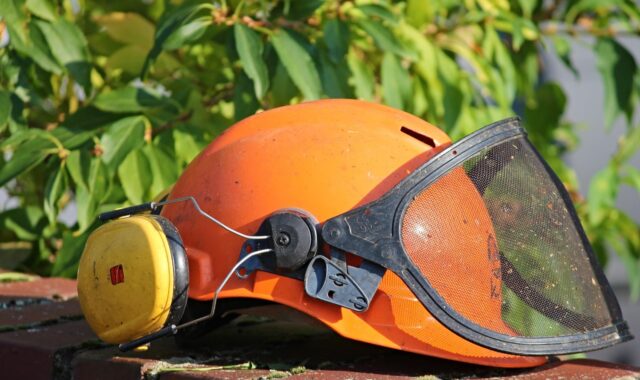 hard hat, helmet, gardening, mow, eye protection, ear protection, orange, visor, work, head protection, building, housebuilding, workers, protection, to build, construction work, equipment, fold down, break, work break, profession, wall, breakfast, professionally, green cut, roden, cut to size, cultivate, hard hat, hard hat, hard hat, hard hat, hard hat, eye protection, eye protection, ear protection, ear protection, ear protection, ear protection, ear protection
