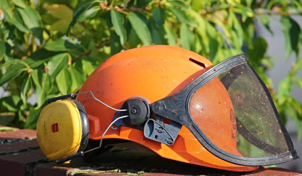 hard hat, helmet, gardening, mow, eye protection, ear protection, orange, visor, work, head protection, building, housebuilding, workers, protection, to build, construction work, equipment, fold down, break, work break, profession, wall, breakfast, professionally, green cut, roden, cut to size, cultivate, hard hat, hard hat, hard hat, hard hat, hard hat, eye protection, eye protection, ear protection, ear protection, ear protection, ear protection, ear protection
